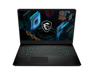 MSI17.3